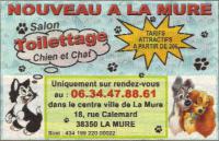 salon de toilettage chien et chat à la mure